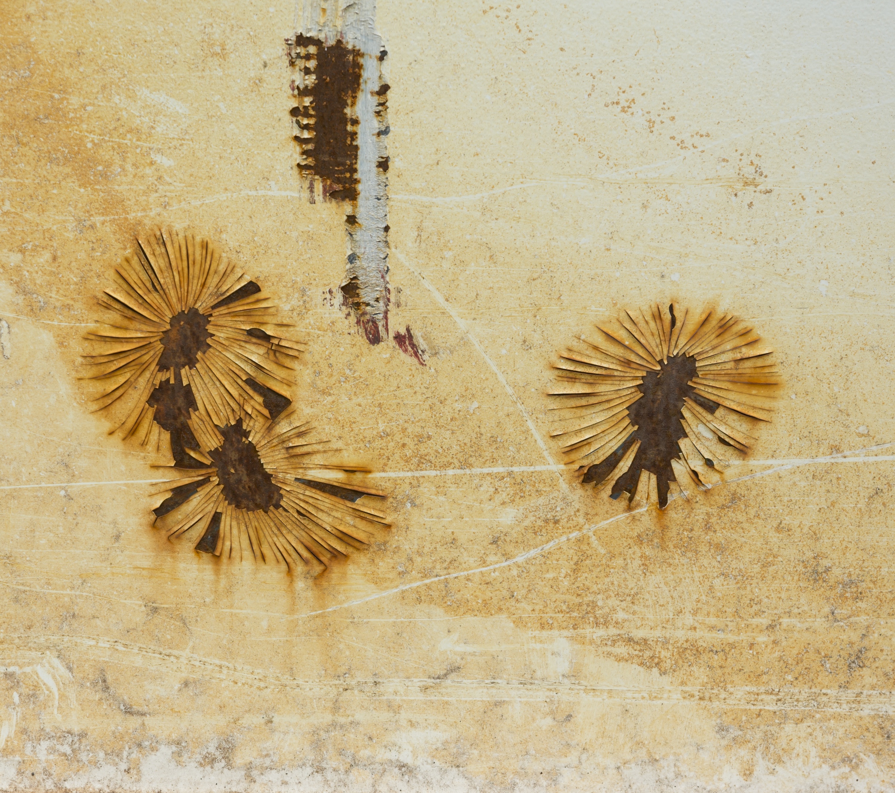 3000x2657 Free Images Sand, Wood, Texture, Flower, Wall, Rust, Metal - Wood Texture Sketch