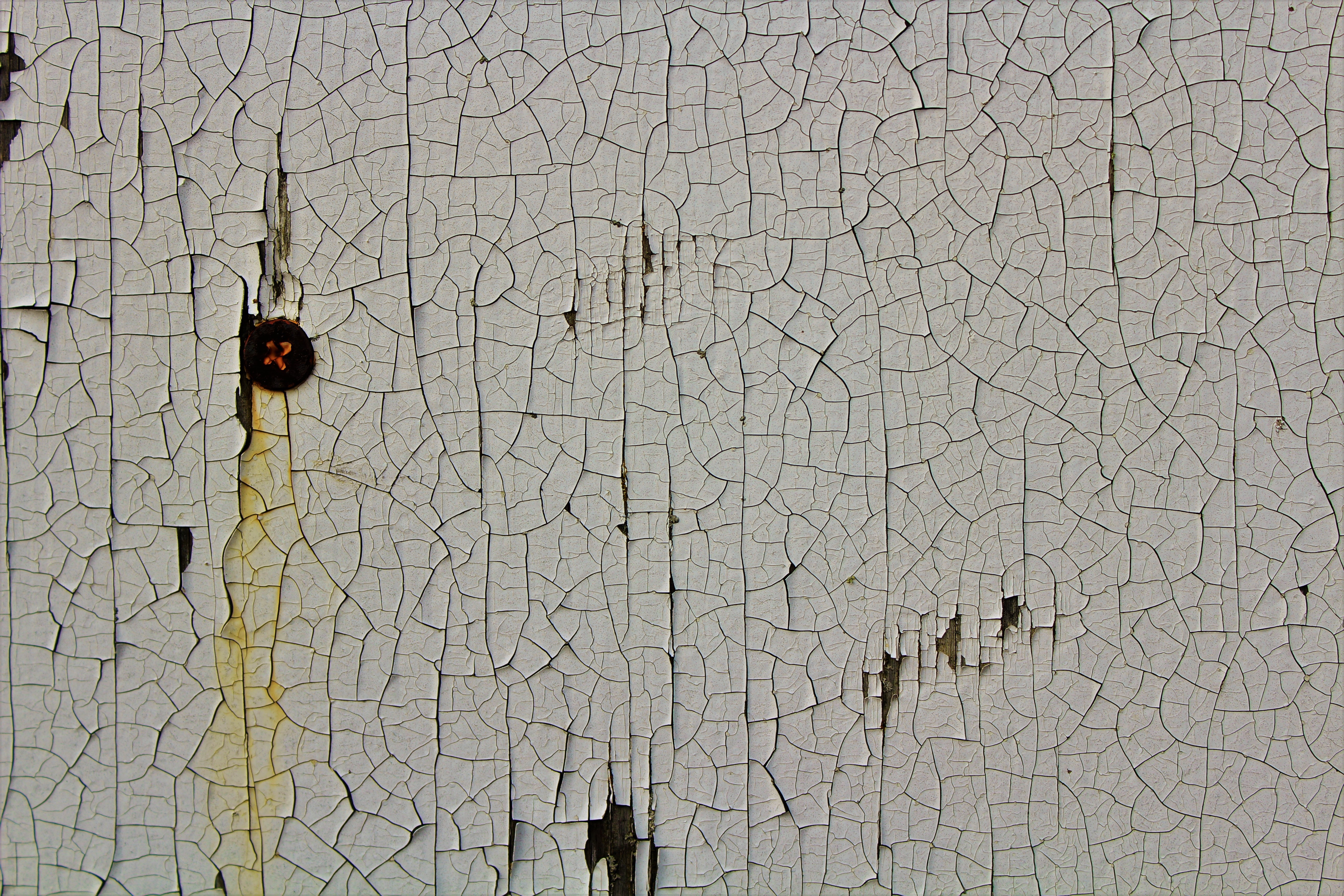 5184x3456 Free Images Wood, Texture, Wall, Pattern, Soil, Map, Art, Sketch - Wood Texture Sketch