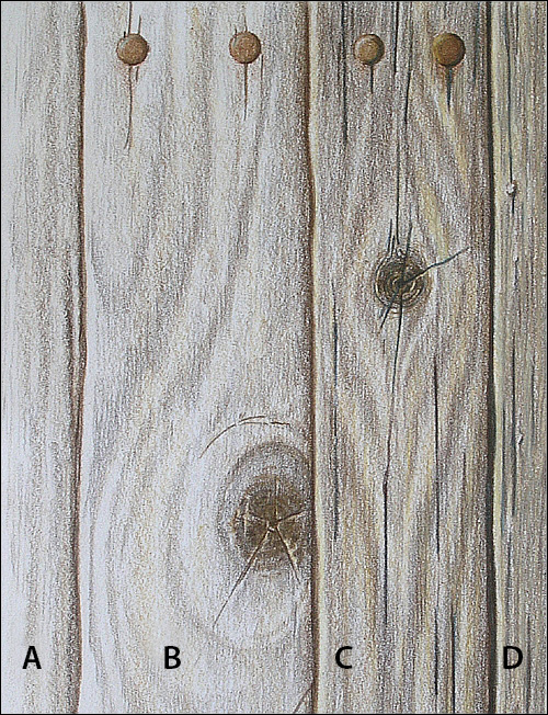 500x652 How To Draw Realistic Wood Grain Details With Colored Pencils - Wood Texture Sketch