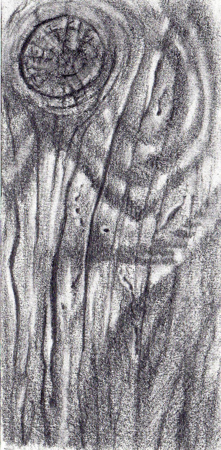 710x1442 How To Draw Wood In 4 Simple Steps Realistic Pencil Drawings - Wood Texture Sketch