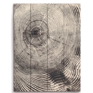 310x310 Wood Grain Wallpaper Wayfair.ca - Wood Texture Sketch