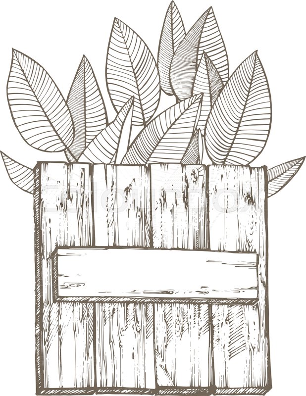 618x800 Composition This Wood Texture And Tropical Palm Leaves, Vector - Wood Texture Sketch