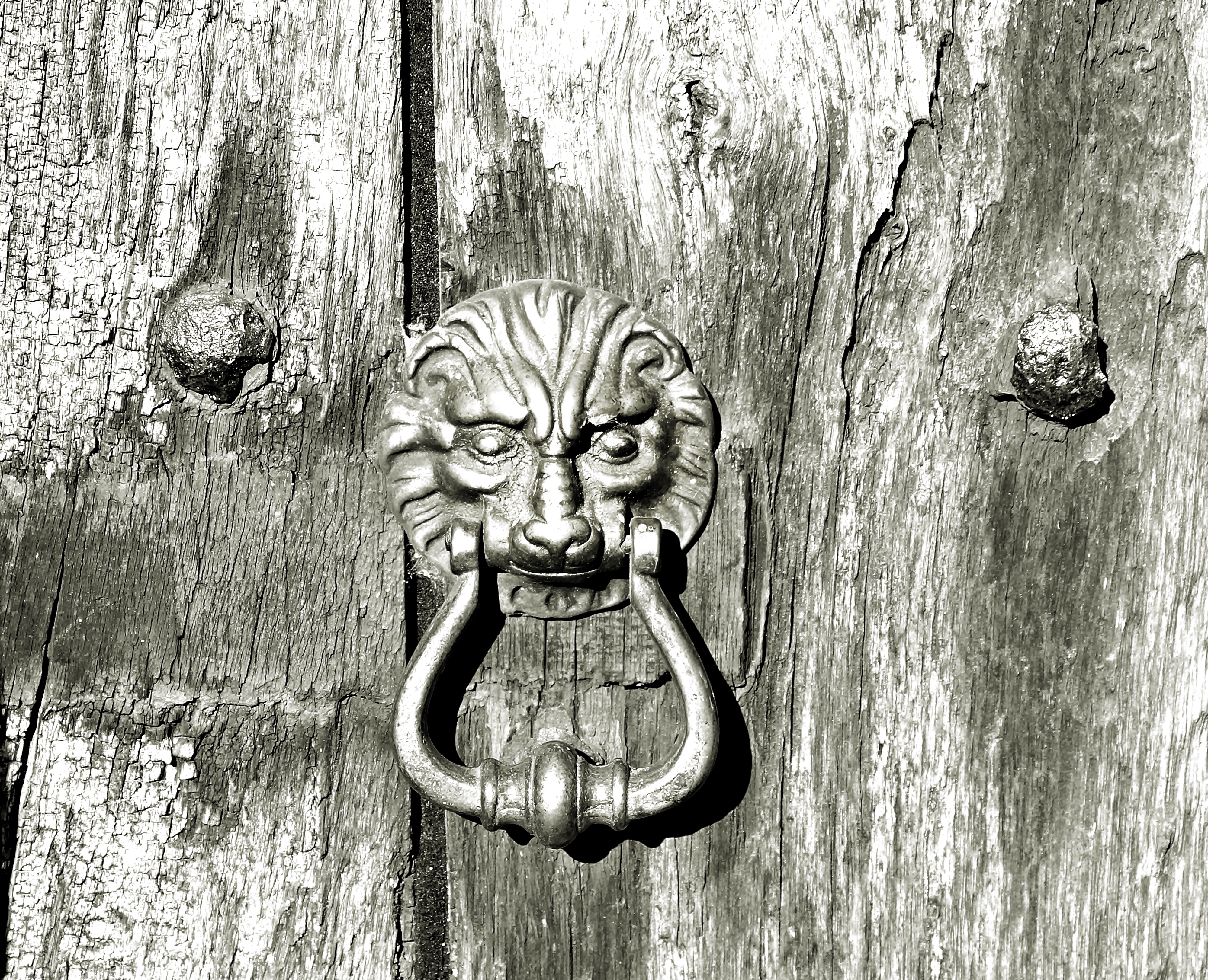 4000x3247 Free Images Tree, Black And White, Wood, Statue, Metal, Close Up - Wooden Door Sketch