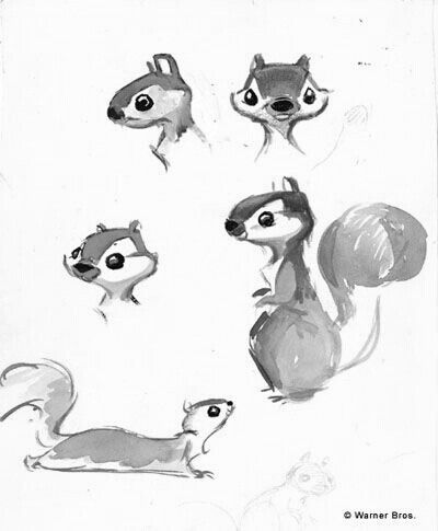 Woodland Animal Sketches At Paintingvalley.com 