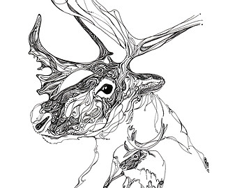 340x270 Drawn Animal Line Art Drawing - Woodland Animal Sketches