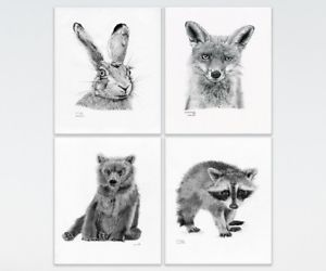 300x250 Nursery Prints, Woodland Animal, Set Of 4 Or 6 (Set A) Art Drawing - Woodland Animal Sketches