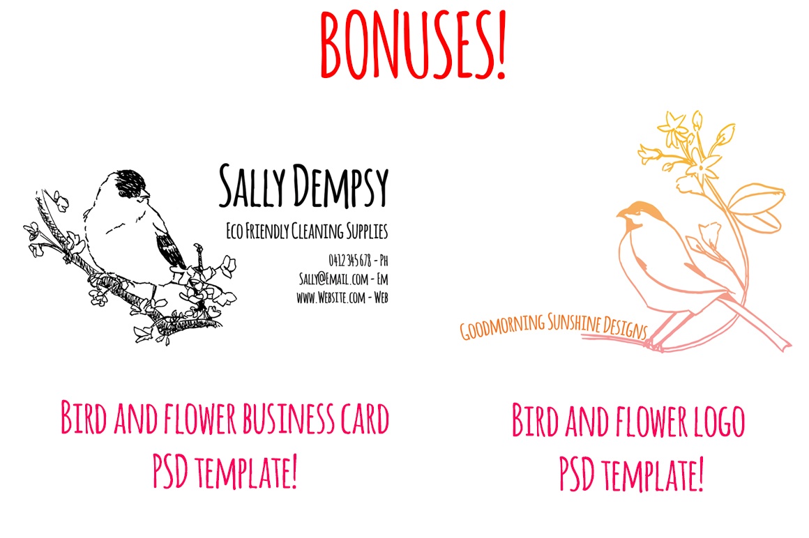 1160x772 Woodland Animal Sketches - Woodland Animal Sketches