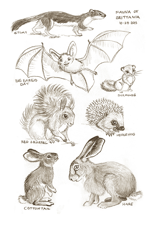 Woodland Animal Sketches at Explore collection of