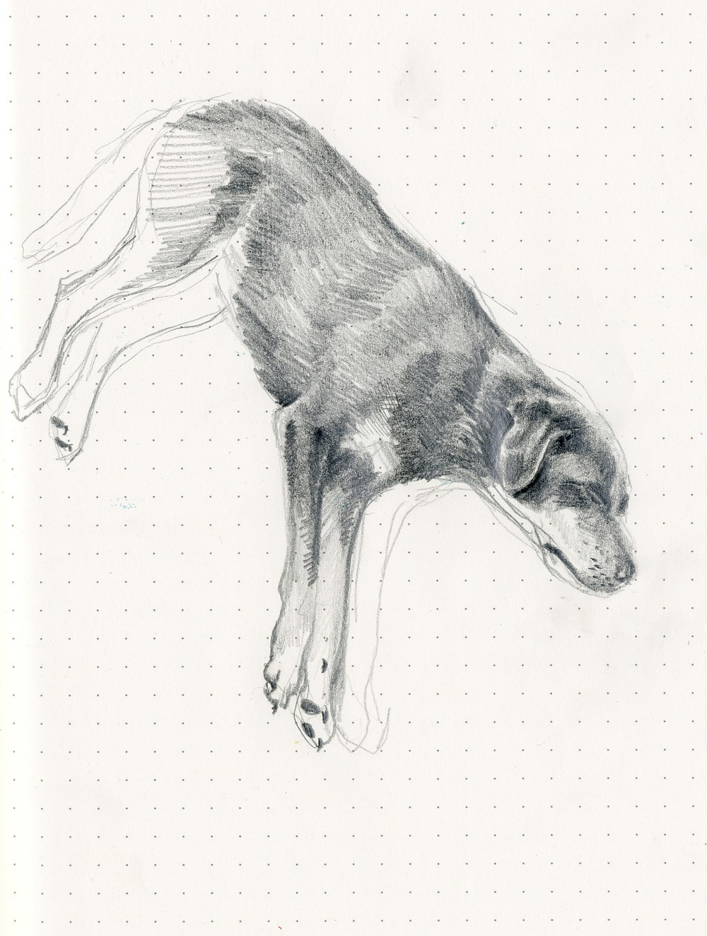 1000x1325 Sketch Anna Marshall - Woody Sketch