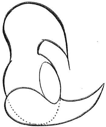 350x421 How To Draw Woody Woodpecker With Easy Step By Step Drawing - Woody Woodpecker Sketch