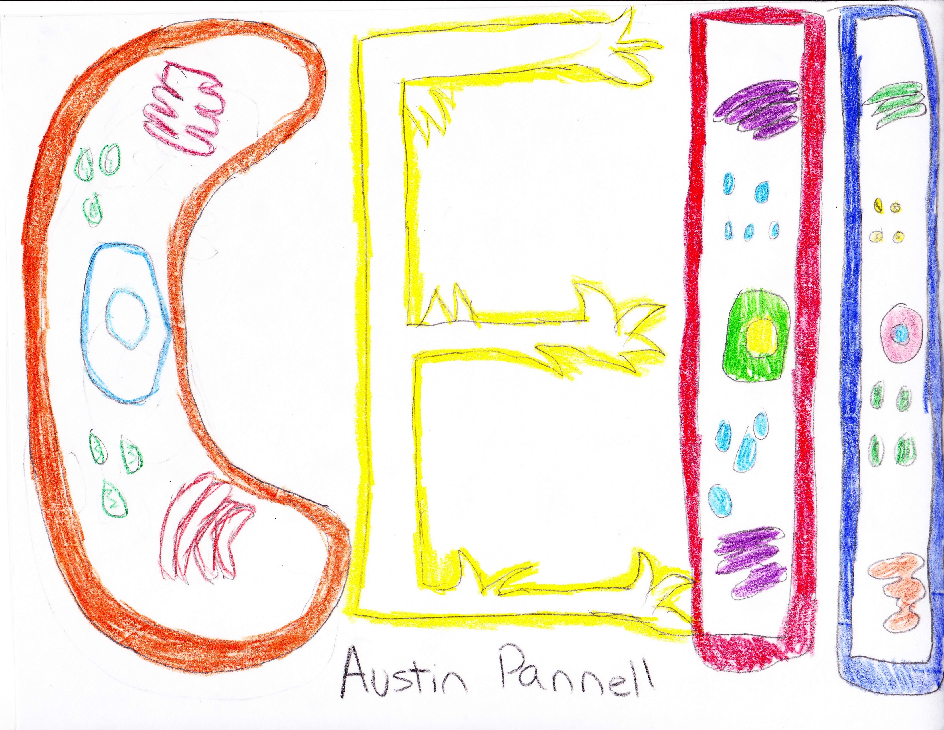 3299x2549 Word Sketches Organelles - Word Sketch