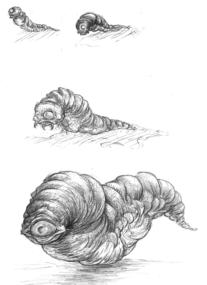 720x993 Worm Sketches By Notyu - Worm Sketch