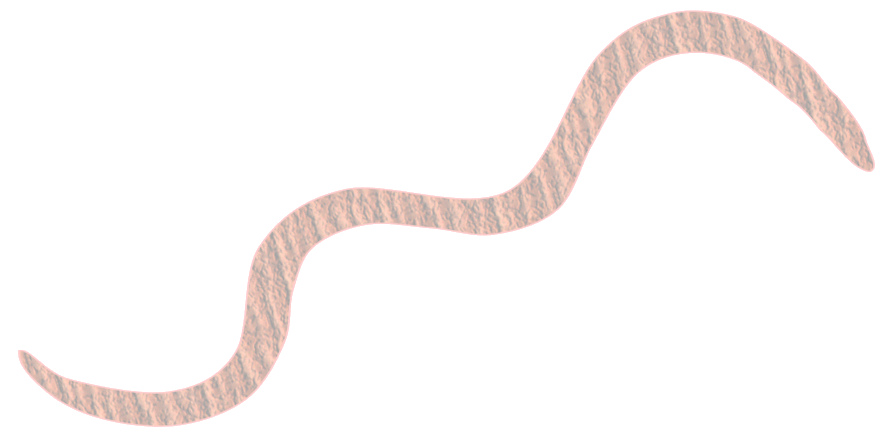 886x446 Worm Sketch With Texture, No Eyes Lge 15cm This Clipart - Worm Sketch