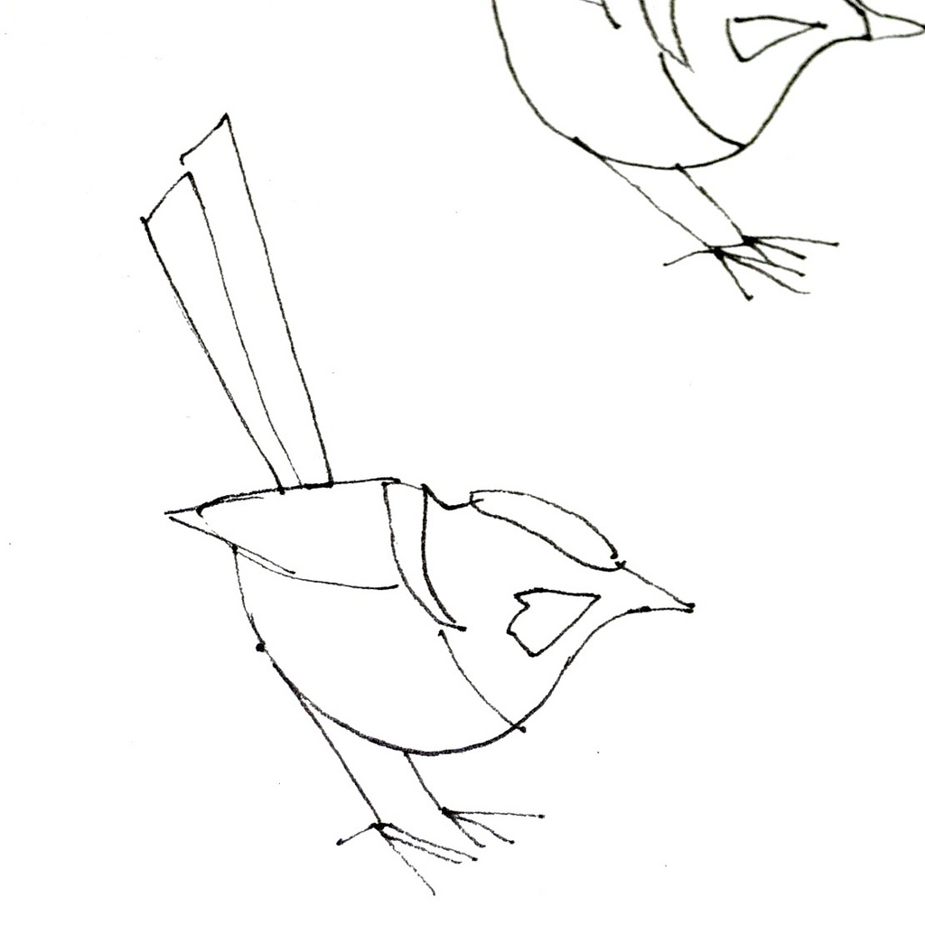 1024x1024 Wren Sketch Blogged Susie Stubbs - Wren Sketch