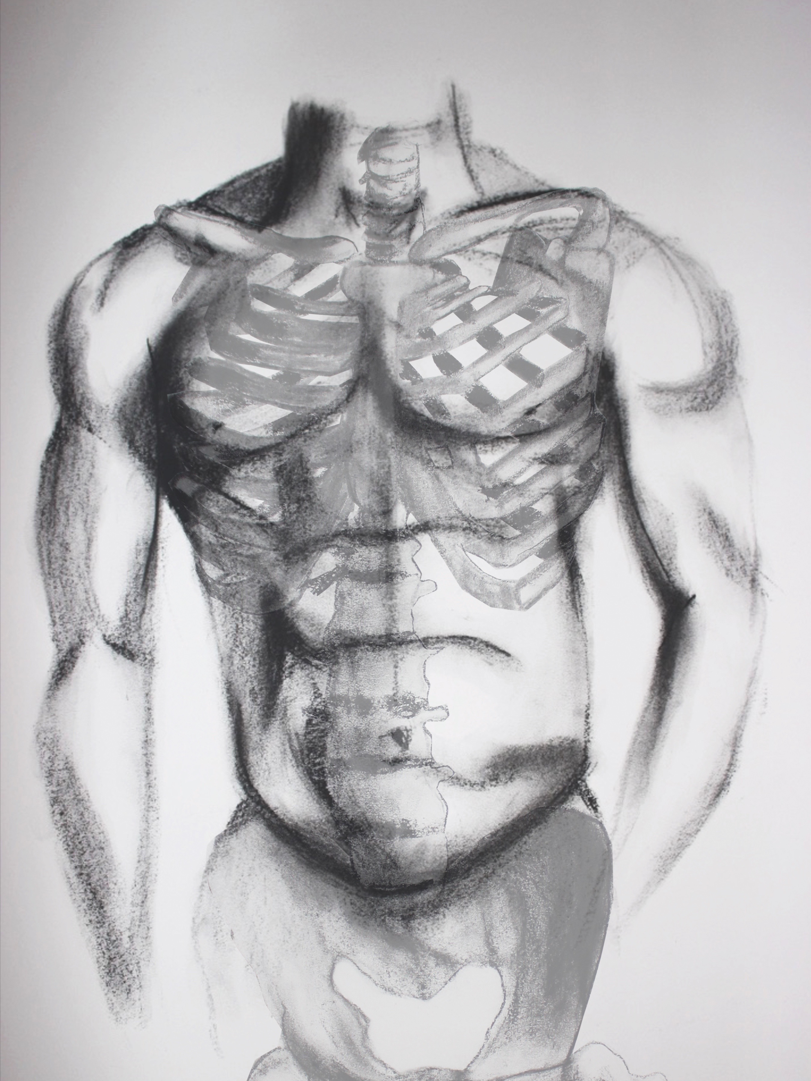 2700x3600 Human X Ray Taylor Marie - X Ray Sketch