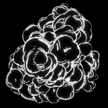 220x220 Toon Sketch Prices Data On Xbox One Rocket League Items - Xbox Sketch