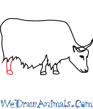 300x350 How To Draw A Yak - Yak Sketch