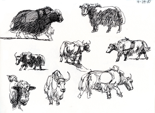 500x363 Latest Quick And Horses And Ducks, Oh My, Plus One - Yak Sketch