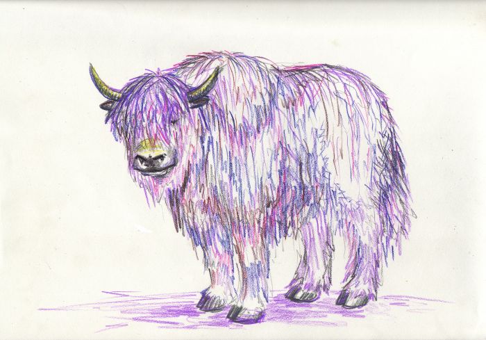 700x489 Sketch Fest! - Yak Sketch