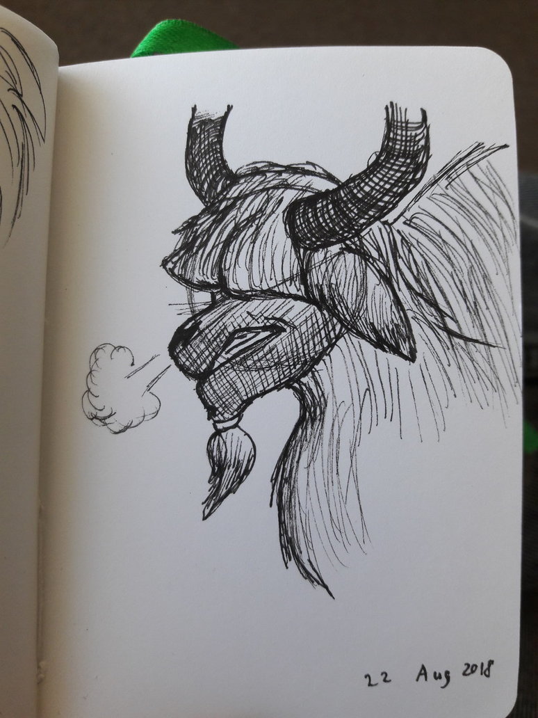 774x1032 Yak Sketch By Rockhoppr3 - Yak Sketch