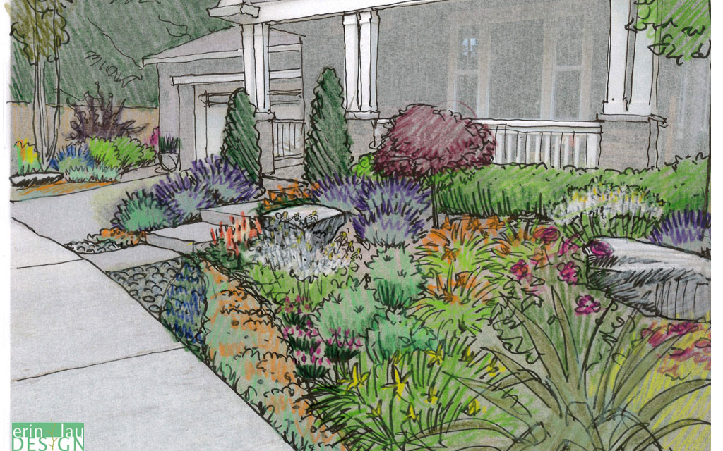 1024x640 Garden Creation How To Draw A Perspective Sketch Drawntogarden - Yard Sketch