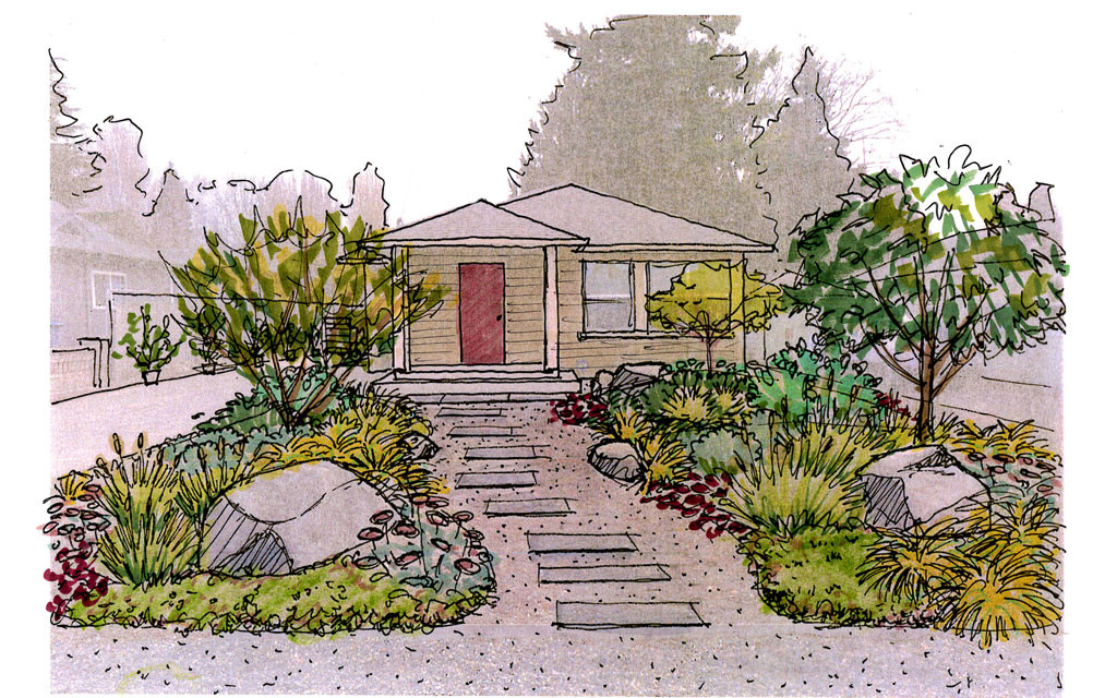1024x640 Garden Creation Seasonal Colors Garden Drawntogarden - Yard Sketch