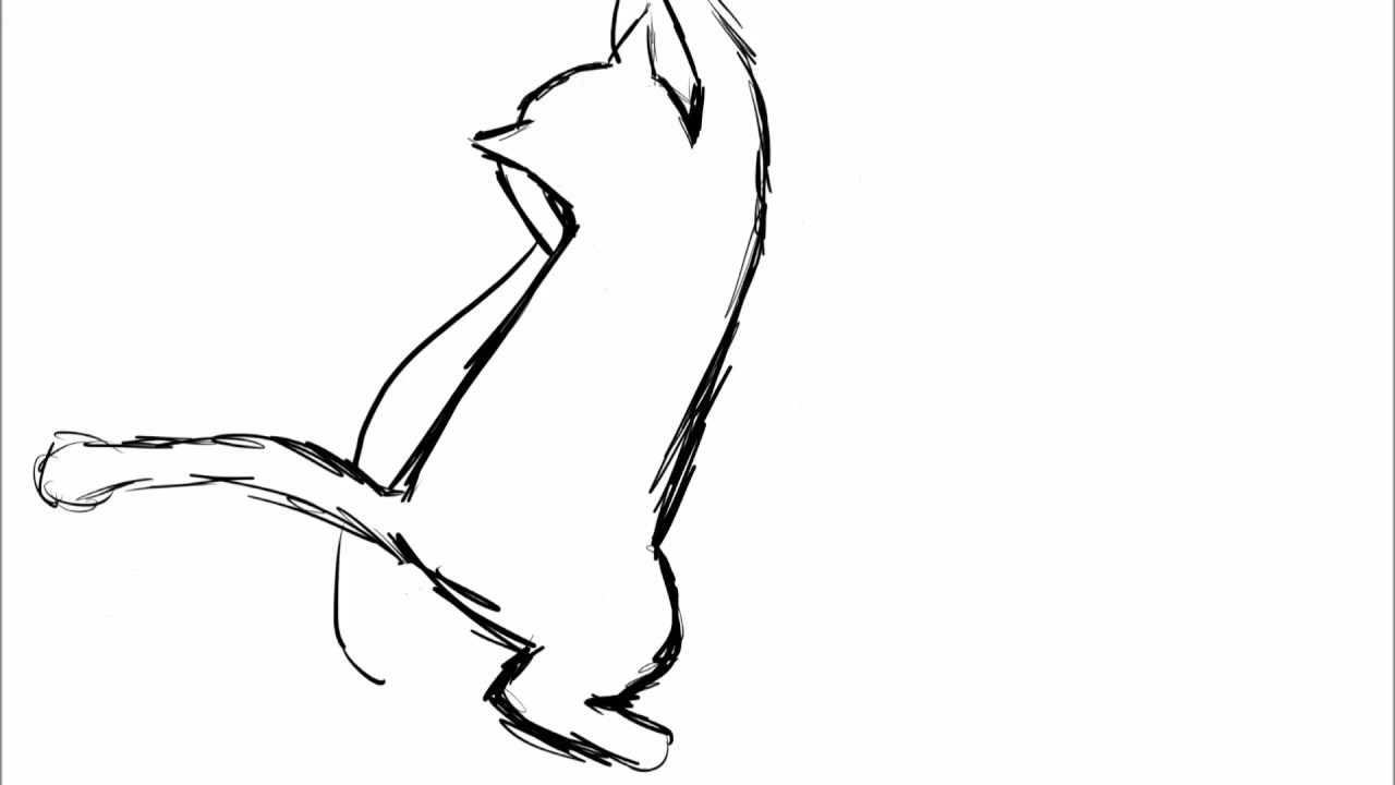 1280x720 Cat Yarn Sketch Animation - Yarn Sketch