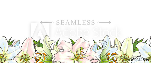 500x209 Endless, Seamless Border Made By Light Blue, Pink And Yellow Lily - Yellow Flower Sketch