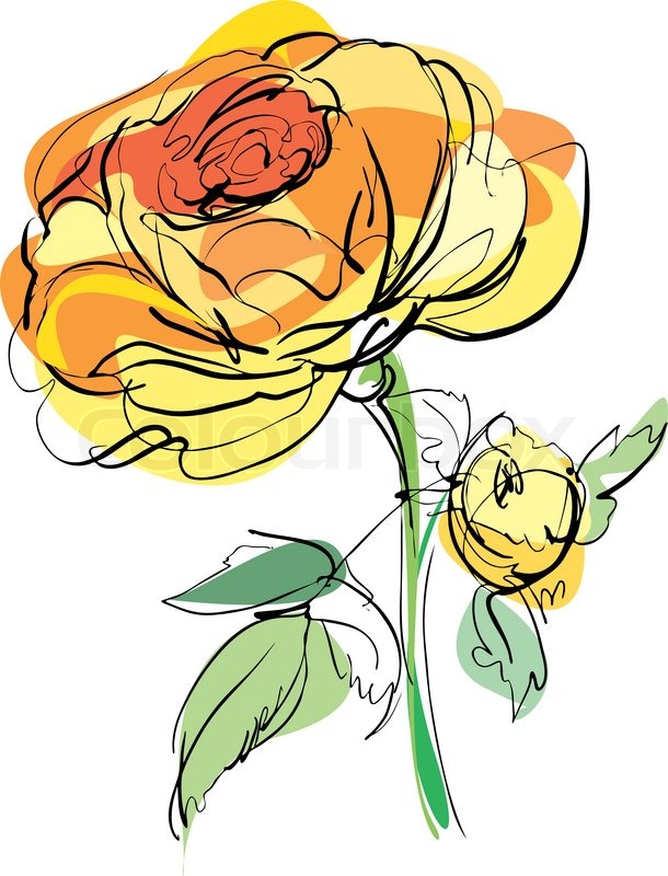 610x800 Sketch Of Yellow Rose On A White Background Stock Vector Colourbox - Yellow Flower Sketch