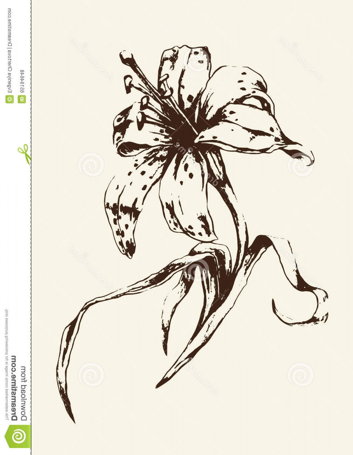1213x1560 Stock Illustration Lily Flower Sketch Yellow Background Vector - Yellow Flower Sketch