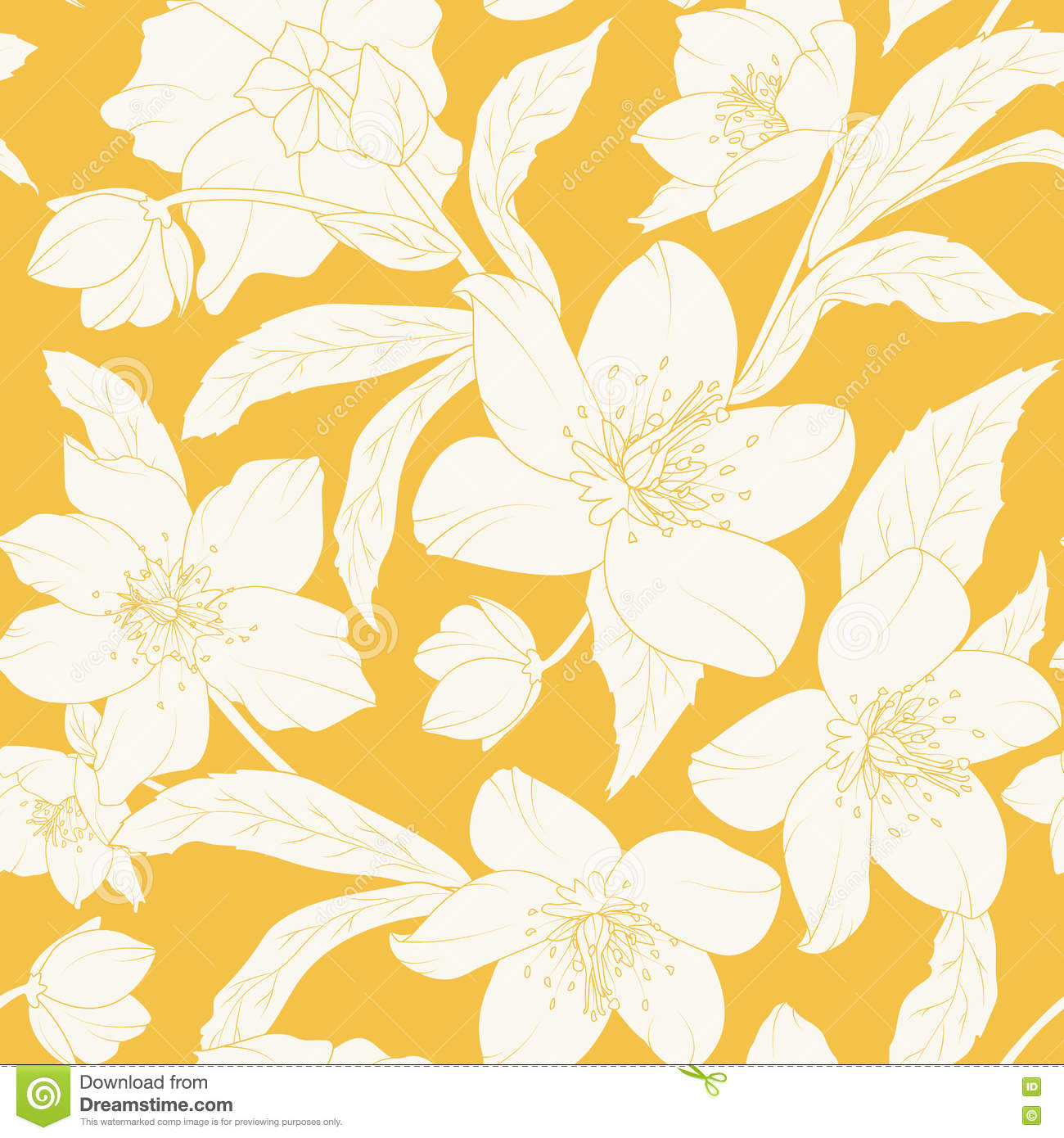 1300x1390 Yellow Flower Sketch Wallpaper Hellebore Christmas Rose Flowers - Yellow Flower Sketch