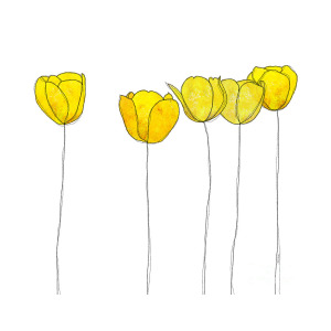 300x300 Yellow Flowers Digital Art By J Ripley Fagence - Yellow Flower Sketch