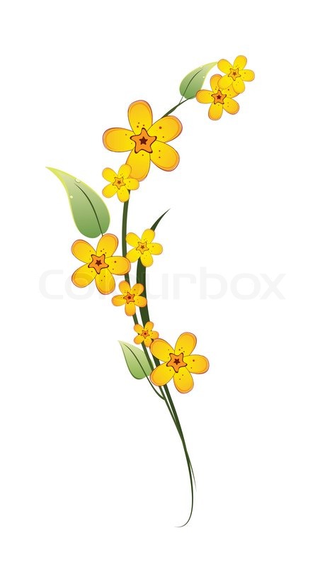 469x800 Yellow Flower On A Stem With Green Leaves On White Background - Yellow Flower Sketch