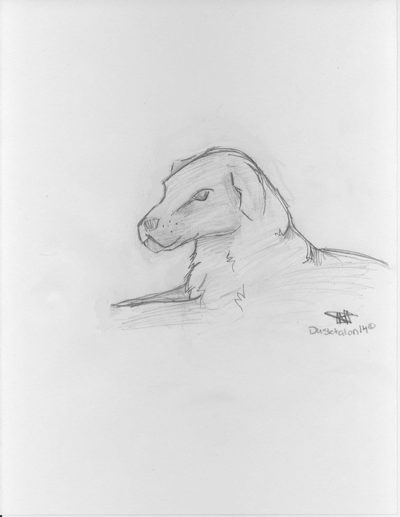Yellow Lab Sketch at Explore collection of Yellow