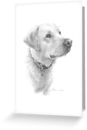277x415 Yellow Lab Drawing Greeting Cards By Mike Theuer Redbubble - Yellow Lab Sketch