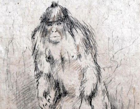 450x350 Stunning New Yeti Picture (Not!) Metro News - Yeti Sketch