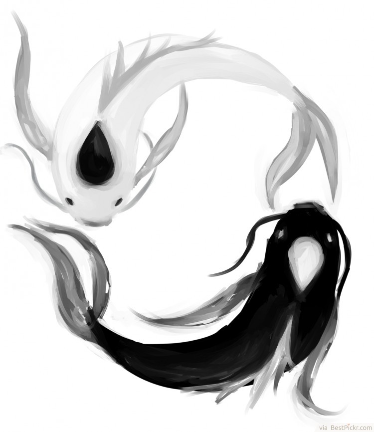 Ying Yang Sketch