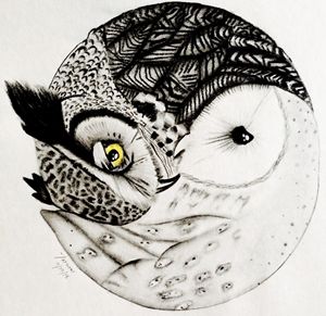 300x291 Yin Yang Owl Drawing - Ying Yang Sketch