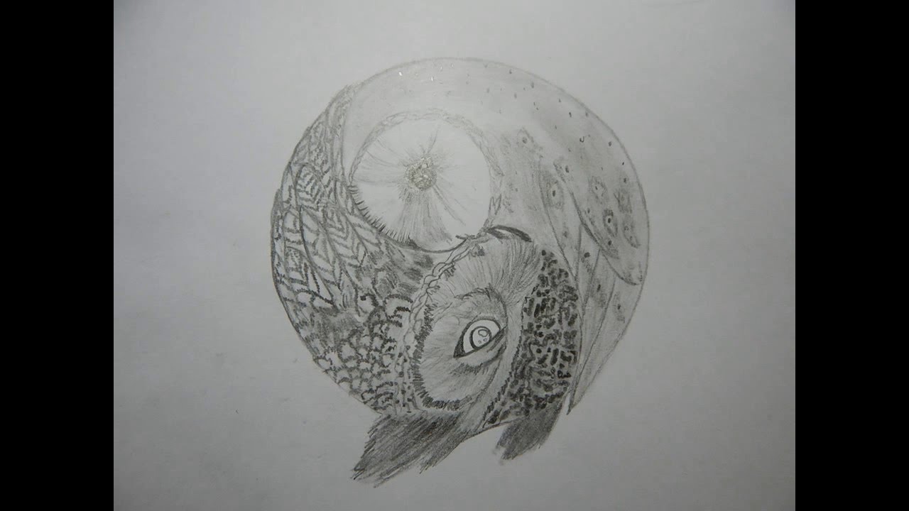 1280x720 Yin Yang Owl Drawing - Ying Yang Sketch
