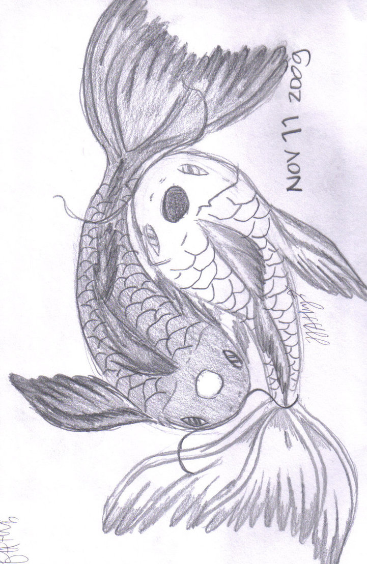 721x1109 Yin Yang Koi Sketch By Bluestarz057 - Ying Yang Sketch