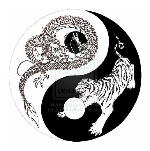 515x518 Dragon And Tiger Yin Yang Tattoo Phoenix Chinese Symbol 2018 - Ying Yang Sketch