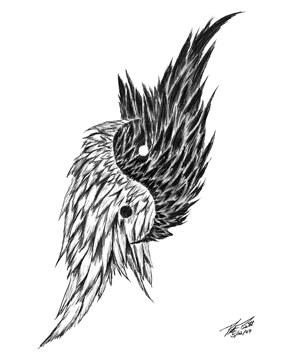 550x700 Feathered Ying Yang Drawing By Peter Piatt - Ying Yang Sketch