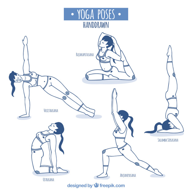 626x626 Sketches Yoga Poses Vector Free Download - Yoga Pose Sketch