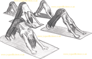 351x228 Yoga With Simon - Yoga Sketch