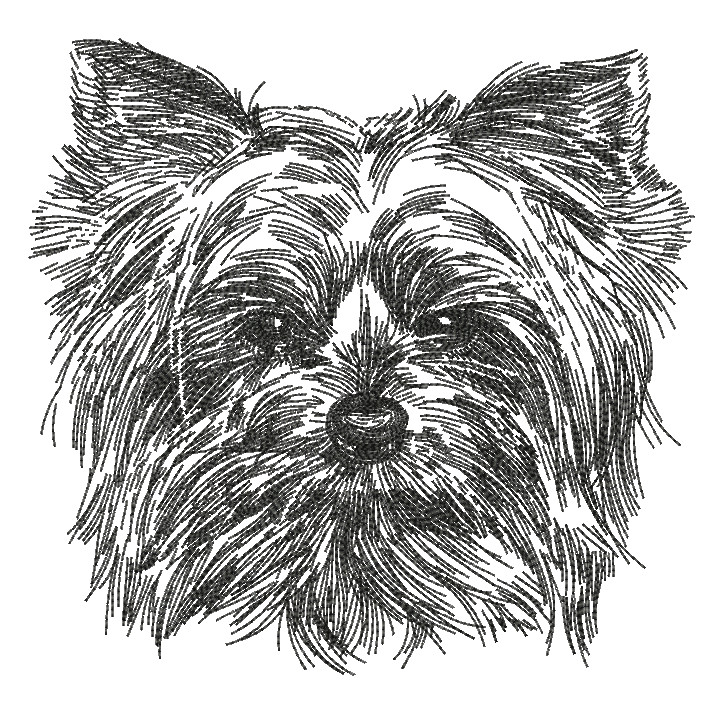 726x702 Stitch Delight Sds0477 Pencil Sketch Yorkie All Design Sets - Yorkie Sketch