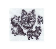 225x199 Yorkshire Terrier Pencil Sketch Ebay - Yorkshire Terrier Sketch