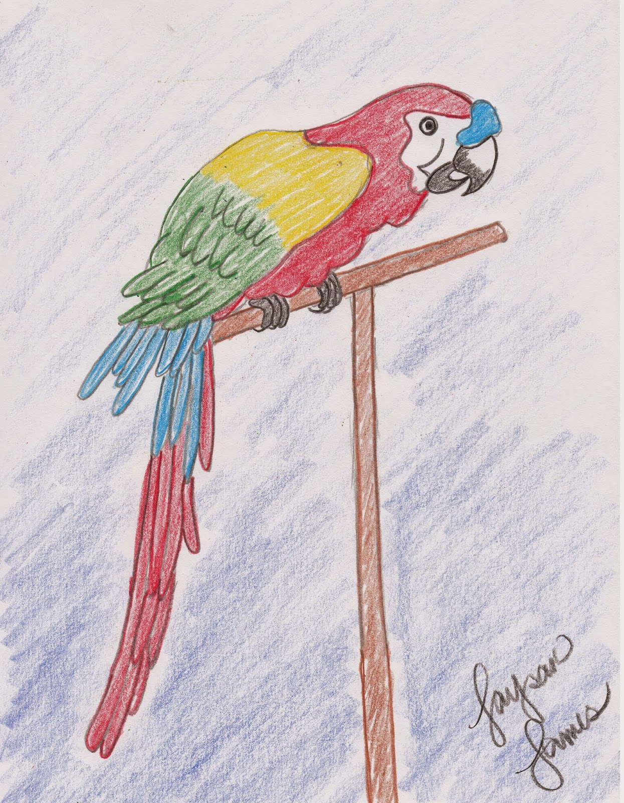 1245x1600 Parrot Drawing Colorful For Easy Step By Step And Super Easy - Youtube Parrot Sketch