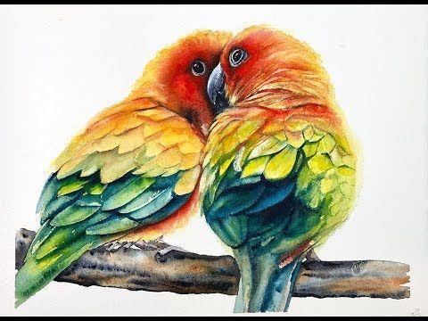 480x360 Parrots In Watercolors Painting Tutorial - Youtube Parrot Sketch