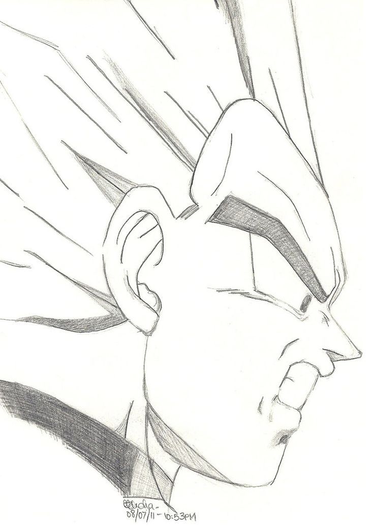 736x1040 Dragon Ball Z Drawing, Pencil, Sketch, Colorful, Realistic Art - Z Sketch