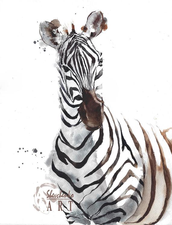 570x743 Original Watercolor Painting Zebra Head Portrait Home Decor Etsy - Zebra Head Sketch